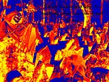 Cemetery5copy.jpg image by onewayzero
